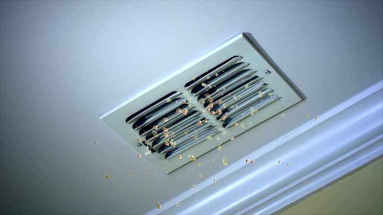 Best Dryer Vent Cleaning Services  in Cedaredge, CO